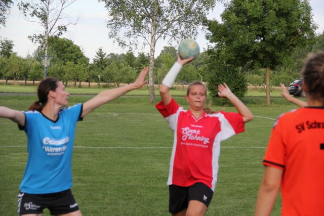 2017_07_11 Landesliga Frauen SV Schraudenbach - SpVgg Hambach
